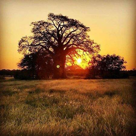 Munati B&B Musina Exteriér fotografie